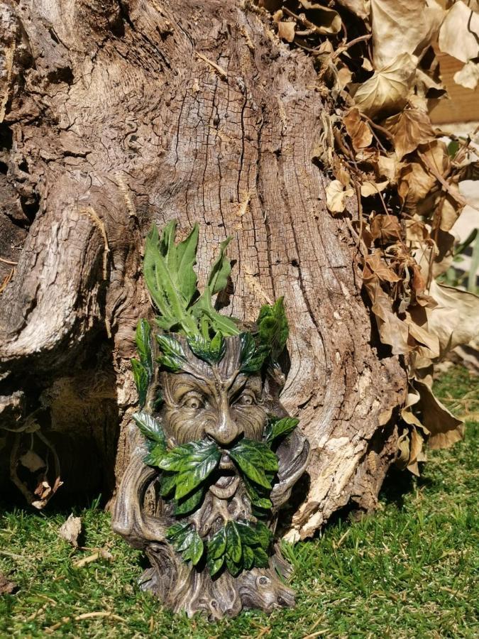 La Chaumiere Magique Des Elfes Et Ses Enigmes Bed & Breakfast Servas  Bagian luar foto